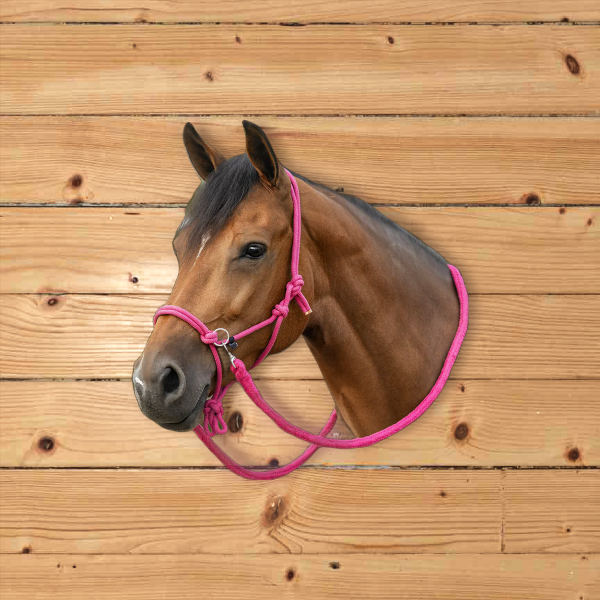 Inky Dinky Pony Rope Halter