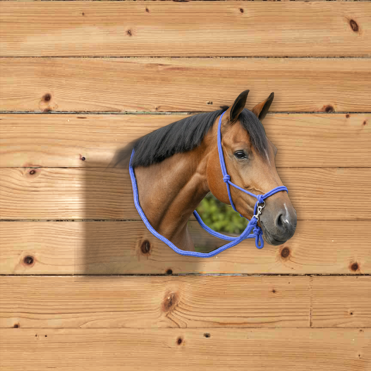 Inky Dinky Pony Rope Halter