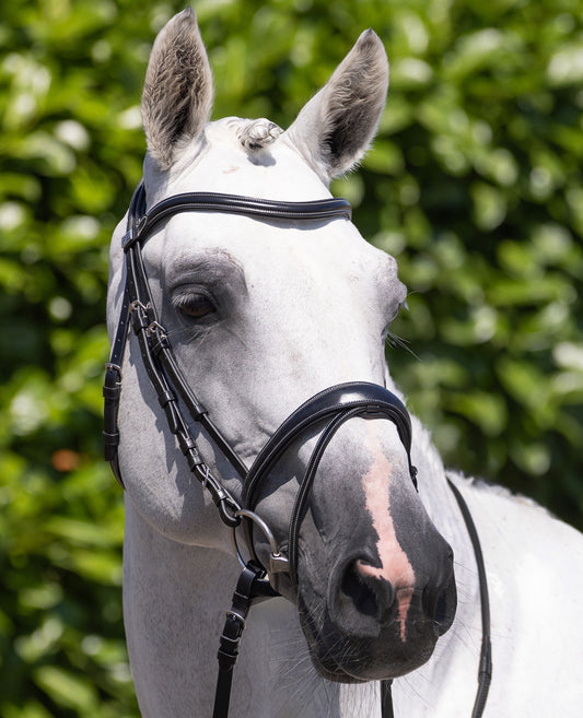 Premier Equine Cassano Snaffle Bridle