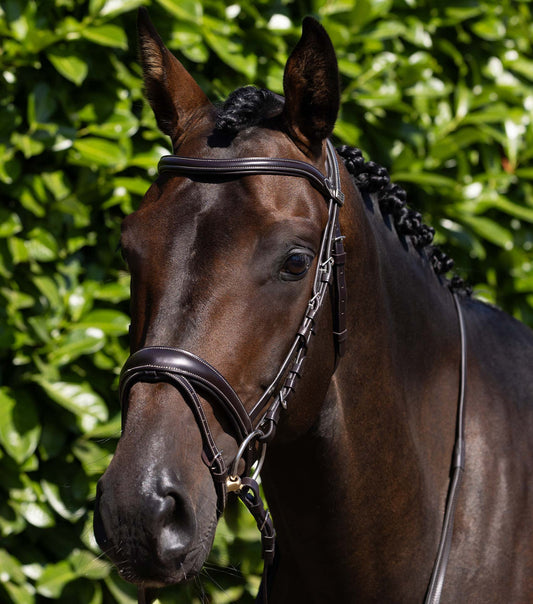 Verdura Anatomic Snaffle Bridle