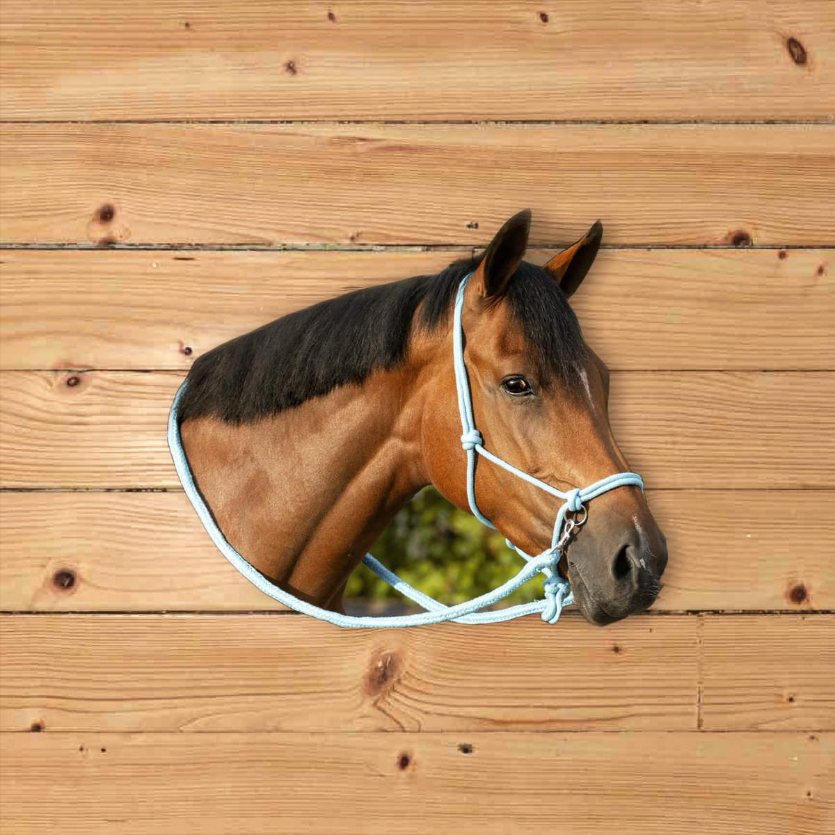 Inky Dinky Pony Rope Halter