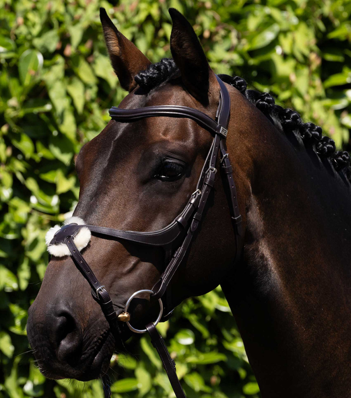 Premier Equine Glorioso Figure 8 Bridle Brown