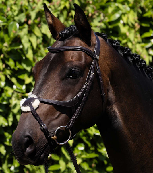 Premier Equine Glorioso Figure 8 Bridle Brown