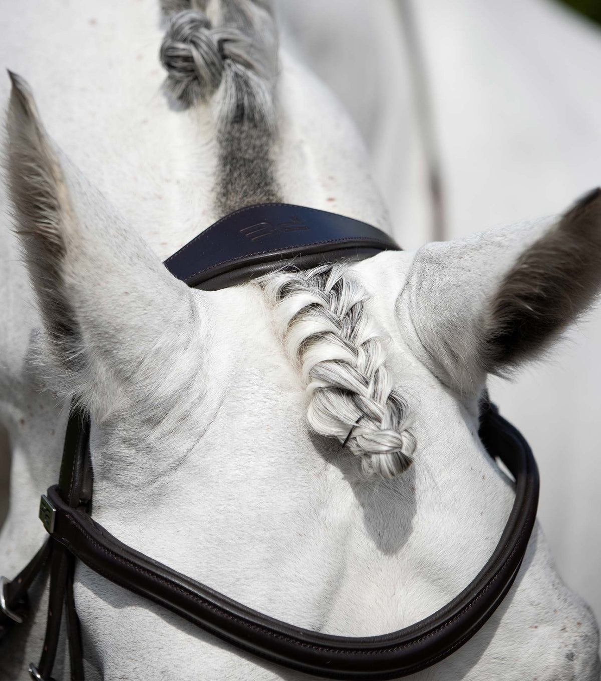 Verdura Anatomic Snaffle Bridle