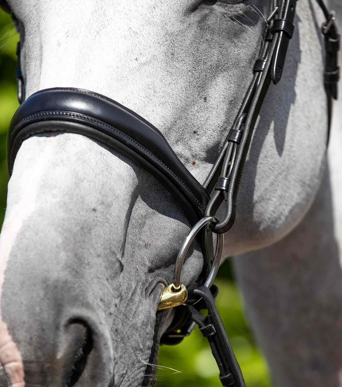 Verdura Anatomic Snaffle Bridle
